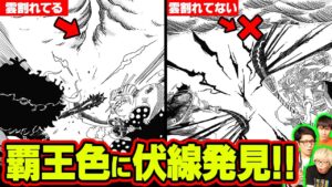 カイドウとビッグマムが〇〇する伏線!?大海賊同士の”天が割れる”描写からわかる違いが凄い!!【 ワンピース 1026話 】 ※ジャンプネタバレ注意 考察