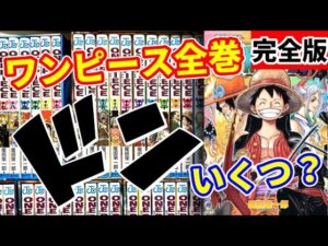 【ぶっ通し15時間】ワンピース100巻分の「ドン！」全部でいくつ？【ダイジェスト】