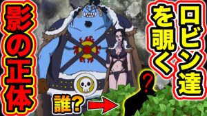 【ワンピース考察】ロビンとジンベエを見ていた影の人物の正体がヤバすぎる・・・【ONE PIECE考察】