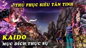 ( One Piece 1000+) - Mục đích của Kaido : Thu phục Siêu Tân Tinh , Kèo Đấu Băng Mũ Rơm vs Tobi Roppo