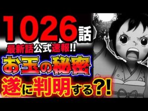 【ワンピース 最新話公式速報】お玉の秘密が遂に判明する？！花の都が大ピンチ？！(予想妄想考察)
