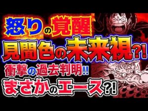 【ワンピース 最新話衝撃感想】モモ怒りの覚醒！見聞色の未来視？衝撃の過去判明！まさかのエース！！(予想妄想考察)