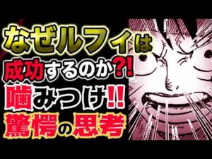 【ワンピース 最新話感想】なぜルフィは成功するのか？噛みつけ！驚愕の思考とは？！（予想考察）