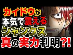 【ワンピース ネタバレ予想】四皇カイドウが本気で震える？シャンクス真の実力判明？！（予想考察）