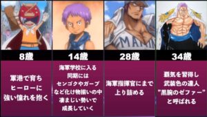 【ワンピース】ゼファーの人生まとめてみた【海は見ている】