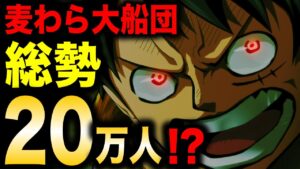 ルフィの仲間は全世界に20万人!? 現在一番大きな海賊団だった...!!!【ワンピース考察】