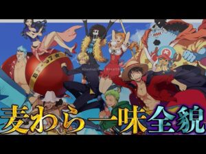 【ONE PIECE 100巻記念】｢麦わらの一味｣の全貌！！最強10人の過去&秘話を徹底解説！！※ネタバレ注意