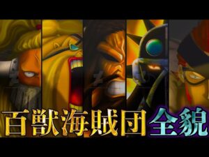 【ONE PIECE】世界最凶｢百獣海賊団｣！！カイドウ･大看板･飛び六胞の過去&秘話を徹底考察！！※ネタバレ注意