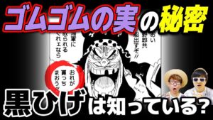 黒ひげはゴムゴムの実の重要性を知っている!? 悪魔の実の歴史にも詳しい…！？【 ワンピース 考察 】