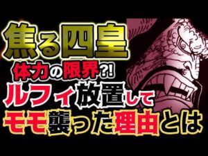 【ワンピース ネタバレ予想】焦る四皇カイドウ？体力の限界？ルフィ放置してモモの助を襲った理由とは？！（予想考察）