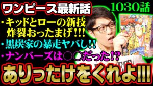 キッドとローの能力が覚醒!!あのビッグマムを圧倒!?アプーはナンバーズと何を企む!?錦えもんとカン十郎の因縁は終わっていない!!【 ワンピース 1030話 】 ※ジャンプネタバレ注意 考察
