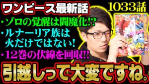 ついにゾロの◯◯◯が覚醒‼︎あの人物の正体やルナーリア族の謎について新発見も⁉︎【ワンピース 1033話】※ジャンプネタバレ注意 考察