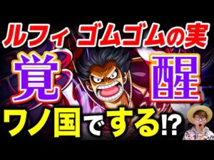 ルフィのゴムゴムの実はワノ国で覚醒する…!? カイドウ戦でギア5来るか!? ※ジャンプ最新話1030話ネタバレ注意【 ワンピース 考察 】