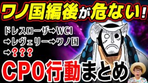 カイドウに勝てた後も危ない!? 今までのCP0行動まとめ！【 ワンピース まとめ 】