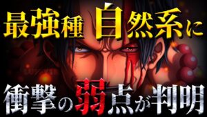 自然系の弱点が衝撃的すぎた!!覇気ではなく〇〇!!!【ワンピース考察】