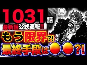 【ワンピース 最新話公式速報】キッドとローはもう限界？四皇を倒す最終手段は覚醒●●？！(予想妄想考察)