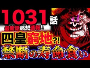 【ワンピース 最新話衝撃感想】科学の戦士！四皇ビッグマムが窮地？禁断の寿命食い！！(予想妄想考察)