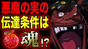 能力者のメカニズムは悪魔の「魂」だった!!!【ワンピース考察】