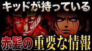 【衝撃】まさかのキッドが奪った情報がとんでもなかった!!!【ワンピース考察】