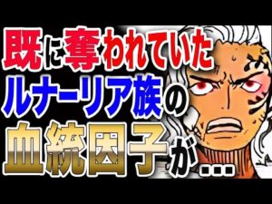【ワンピース ネタバレ 考察 最新話 1035】実は、既に奪われていた! ルナーリア族の血統因子が実用化が... 【ONE PIECE ネタバレ 考察 最新話 1035】