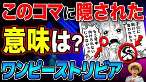 【 ワンピース 】ほとんどの人が知らないヤバい情報・豆知識4選！【 ワンピーストリビア 】