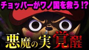 SMILEの副作用はとんでもない方法で解決できる...!?【ワンピース考察】