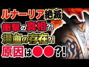 【ワンピース ネタバレ予想】ルナーリア族絶滅の真相とは？混血が存在する？原因はまさかの〇〇だった？！（予想考察）