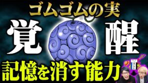 真の能力判明！空白の100年はゴムゴムの実で消した！？もう一つの名を持つ悪魔の実について徹底考察！【 ワンピース 1037話 】 ※ジャンプネタバレ注意 考察