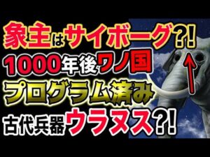 【ワンピース ネタバレ予想】象主の正体は●●動物？1000年後ワノ国はプログラムされていた？まさかの古代兵器ウラヌス？！（予想考察）