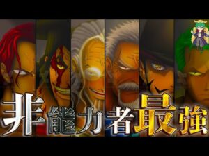 【ONE PIECE お正月SP】｢非能力者｣最強No.1は◯◯！！｢非能力者｣最強ランキングTOP12！！※ネタバレ注意