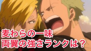 「ワンピース議論」ゾロ＆サンジもう海軍大将クラス並に強い！