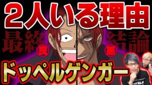 悪魔の実で精神を分離させた！？怪しすぎる素性には理由が！ルフィの最大の敵となり立ちはだかる！【 ワンピース 考察 】