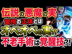 【ワンピース ネタバレ予想】伝説の悪魔の実の正体はオペオペの実？！不老手術は覚醒技だった？！（予想考察）
