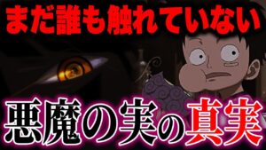とうとう悪魔の実に新たな伏線が見つかりました...!!!【ワンピース考察】