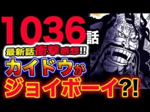 【ワンピース 最新話衝撃感想】カイドウがジョイボーイ？衝撃の事実が発覚？！海賊王の両翼は気絶！！(予想妄想考察)