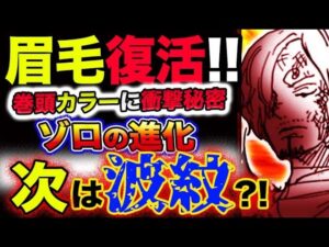 【ワンピース 最新話衝撃感想】サンジの顔がない！巻頭カラーに衝撃の秘密？眉毛が復元！笑うほどに●●か？！(予想妄想考察)