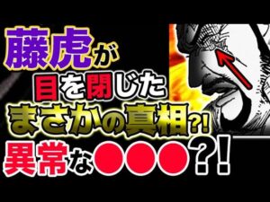 【ワンピース ネタバレ予想】海軍大将藤虎が目を閉じたまさかの真相？異常な●●●のせいだった？！（予想考察）