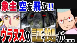 【ワンピース ネタバレ 考察  最新話】1041展開予想! 象主は空を飛ぶ証拠が!! 鬼ヶ島を救う象主の正体はウラヌスの... 【ONE PIECE ネタバレ 考察 最新話 1041 1040】