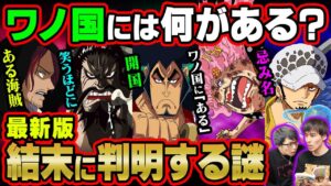 ワノ国にもワンピースが存在！？Dの一族・古代兵器・ジョイボーイ・太陽の神ニカ…すべての謎発言をマニアが解説！【 ワンピース 考察 】