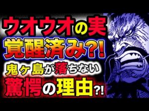 【ワンピース ネタバレ予想】四皇カイドウのウオウオの実は既に覚醒していた？鬼ヶ島が落ちない驚愕の理由とは？！(予想妄想考察)