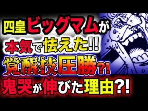 【ワンピース 最新話感想】四皇ビッグマムが本気で怯えた！覚醒技圧勝？鬼哭が伸びた理由とは？鬼ヶ島の救世主はまさかのあの能力？！(予想妄想考察)