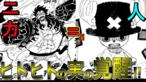 ヒトヒトの実モデルニカの覚醒？！五老星の言うあの実はゴムゴムの実のことだった？！チョッパーの覚醒で考える新たなるヒトヒトの実の真実！【ワンピース ネタバレ】