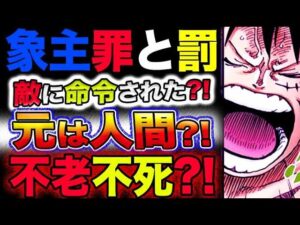 【ワンピース ネタバレ予想】象主の正体とは？象主の罪と罰？象主に命令したのは？(予想妄想考察)