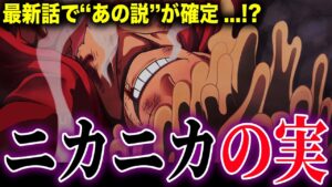 1043話であの説が現実に!?ニカニカの実がやばい...【ワンピース考察】