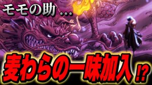 ※やはり麦わらの一味“11人目”はモモの助だった...!!?【ワンピース考察】
