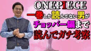 ワンピース17巻まで読んだ男のガチ考察【チョッパー編まで】【ちょいネタバレ注意】