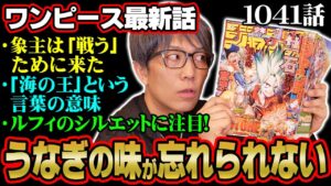 ルフィはギア5を使わない！？ゴムゴムの実の覚醒はミスリード！カイドウ撃破のヒント気づいた！？【 ワンピース 1041話 最新話】 ※ジャンプネタバレ注意 考察