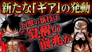 いよいよ”ギア5”への扉が開かれる！さらに白熱する世界最高峰のバトルと小紫の覚悟の戦いの行方！【 ONEPIECE / ワンピース 1041話 】