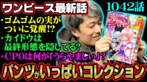 ゴムゴムの実の覚醒が確定！？カイドウにルフィは殺された！？CP0とドレークの目的とは。【 ワンピース 1042話 最新話 考察】 ※ジャンプネタバレ注意