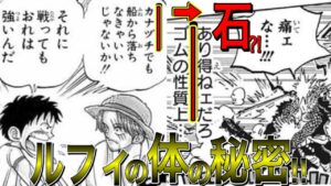 ルフィの体の中には石がある？！だから元々カナヅチでゴムの軌道をも変えられる？！Dの意志とは石と関わり深い一族だった？！【ワンピース ネタバレ】